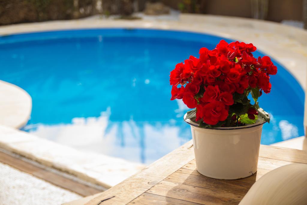 Azul Rentals Villa Albir El Albir Eksteriør billede